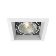Eurofase Gold US TE131-22 - MULT,PAR30,TRM,1LT,75W,WH/WHT