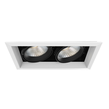 Eurofase Gold US TE132LED-35-4-02 - MULT,26W,TRM,2LT,35K,WHT/BLK