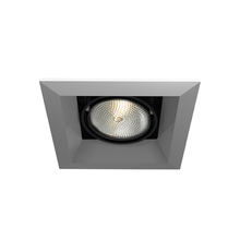 Eurofase Gold US TE161-0N - MULT,PAR20,TRM,1LT,50W,PT/BLK