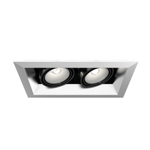 Eurofase Gold US TE162-0N - MULT,PAR20,TRM,2LT,50W,PT/BLK