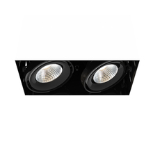 Eurofase Gold US TE222LED-40-2-01 - MULT,26W,TRMLS,2LT,40K,BLK