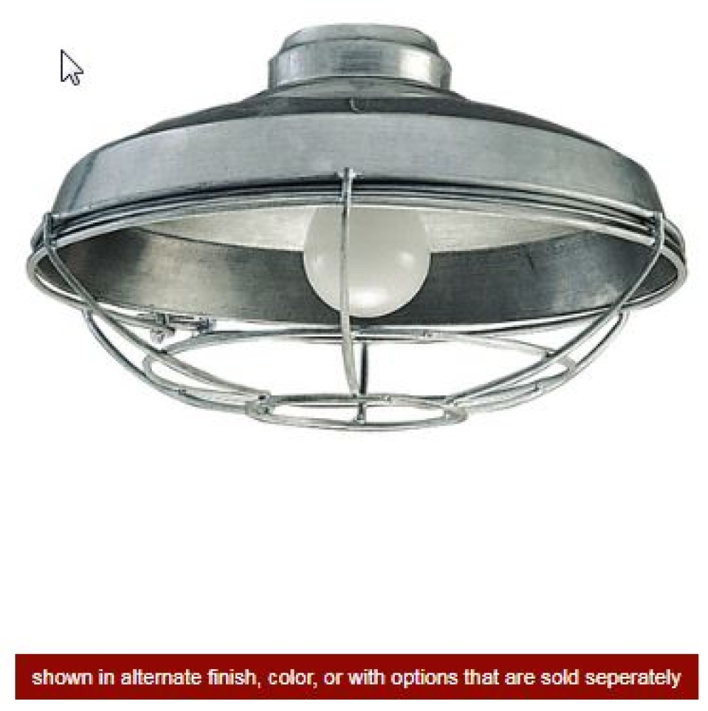 Wire Cage No Glass w/1x 9w LED, Wet Rated