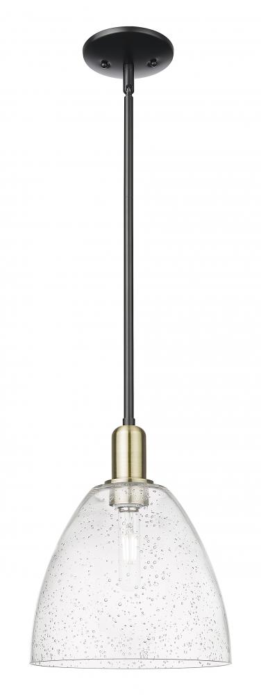 Bristol - 1 Light - 9 inch - Black Antique Brass - Stem hung - Mini Pendant