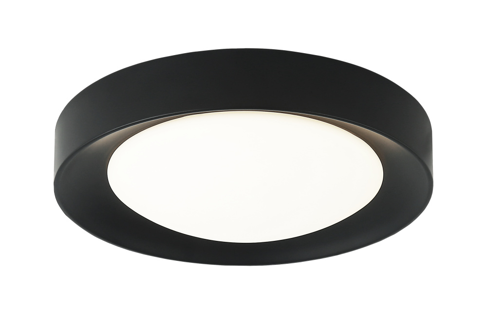 Essene Black Ceiling Mount