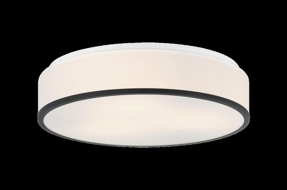 Echo Matte Black Ceiling Mount